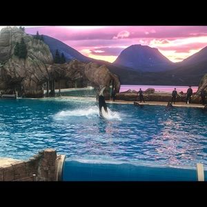 Meet your Posher, Lulu